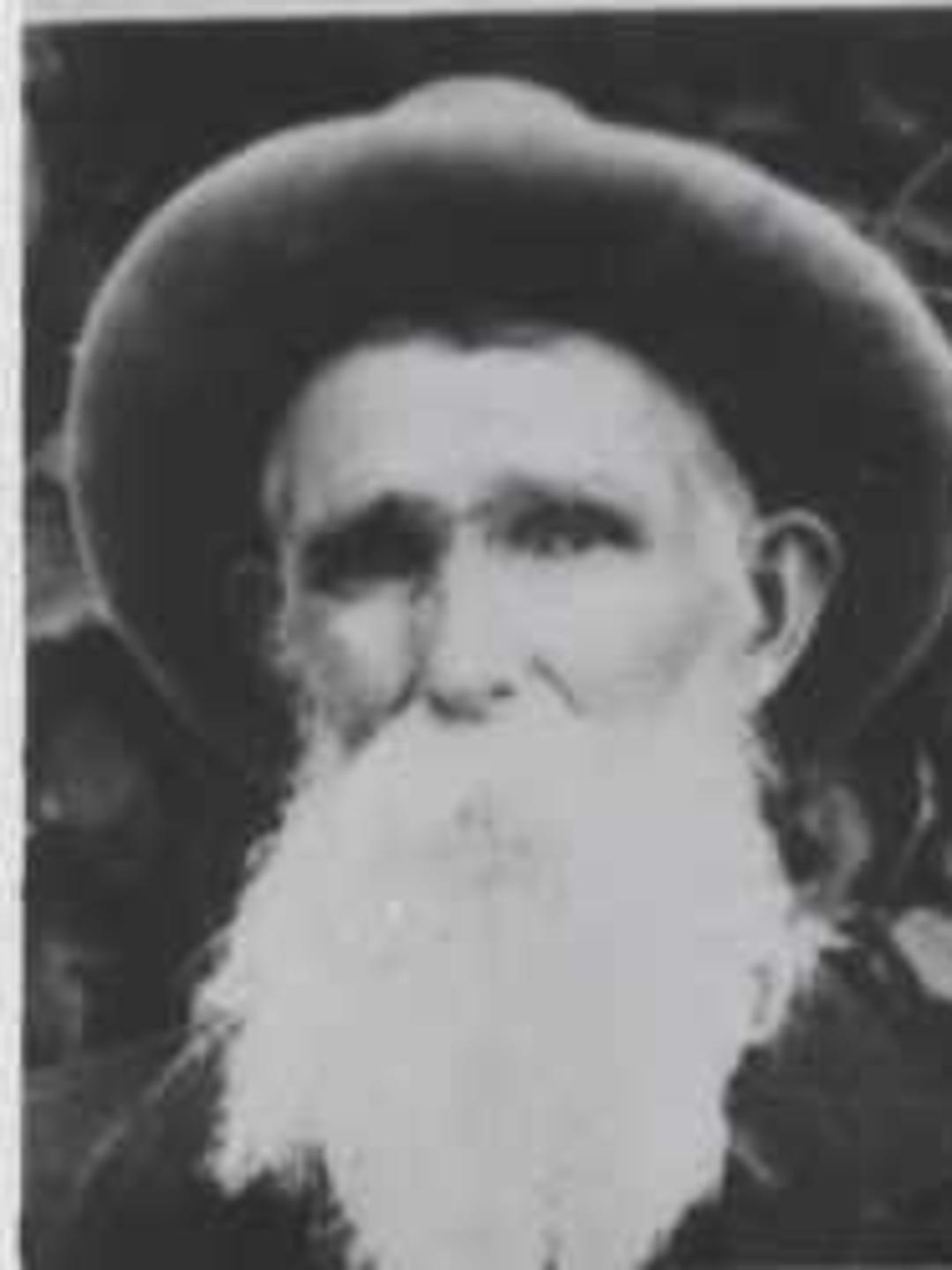 Stephen Jones (1843 - 1926) Profile